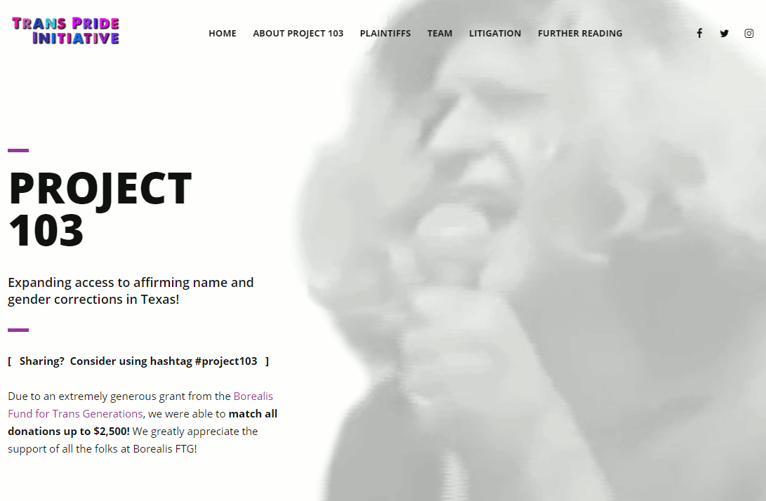 cover image of the Project 103 web site